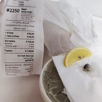 Yemeksepeti Çorbadan Kocaman Böcek Çıktı.