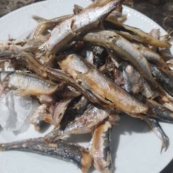 A101 Balık Dünyası Dondurulmuş Gıda