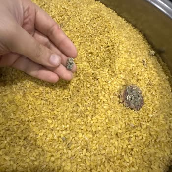 Migros Pilavlık Bulgur 2500 Gr