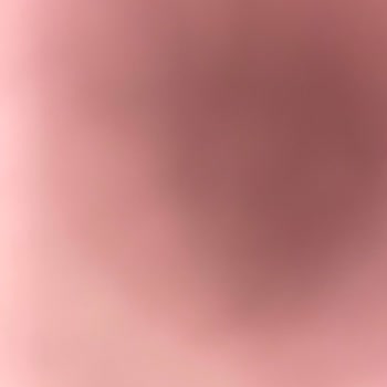 LCW Kadın Botu Sorunu