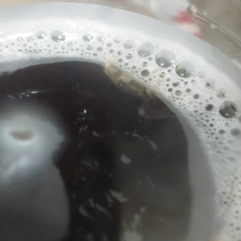 Çaykur Urunu Didi İçinden Çıkan Madde Nedir