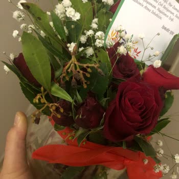 Osevio. Çöm Çiçek Yerine Çöp Yolladılar