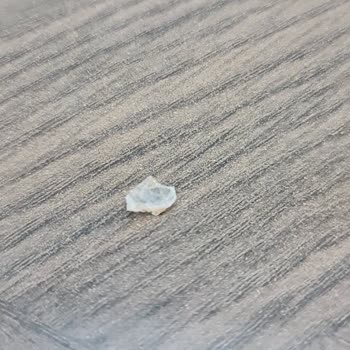 Patiswiss Çikolata İçinden Cam Parçası Çıktı!