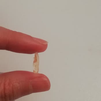 Eti Gıda Yabancı Cisim Çıktı