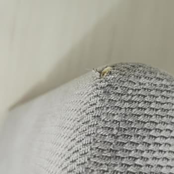 Doğtaş Mobilya'da Yırtık Berjer Ve İlgisiz Servis Hizmeti