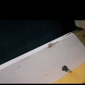 Kübra Kanepe Eşyaları Kırıktı Ve İlgilenme Sıfır