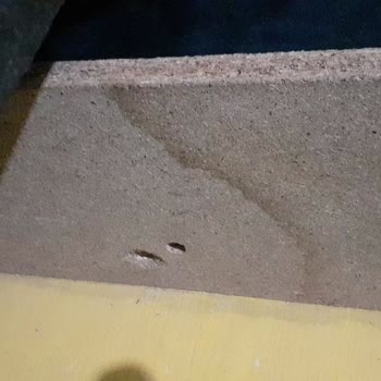 Kübra Kanepe Eşyaları Kırıktı Ve İlgilenme Sıfır