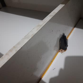 Kübra Kanepe Eşyaları Kırıktı Ve İlgilenme Sıfır