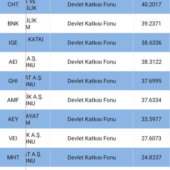 HDI Fibaemeklilik Devlet Katkısı Fonu
