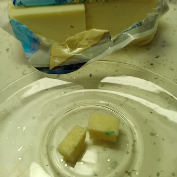 İçim Tam Yağlı Tost Peynirinden Çıkan Plastik Parça