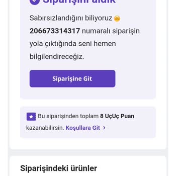 Kalemhane 3 Gün Kullanılan Kalem