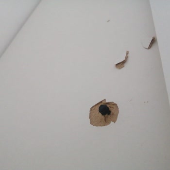 Creative Mobilya Montaj Hatası Ve İletişimsizlik Sorunu