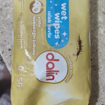 Dalin Islak Mendil İçinden Kırkayak Cıktı Canlı