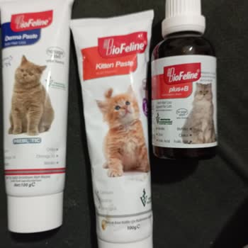 Biofeline Ürünleri Kanlı İshale Sebep Oluyor