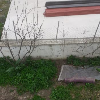Eki aç