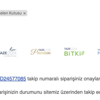 Taze Çiçek (tazecicek.com) 5 Günde Ulaşmayan Doğum Günü Çiçeği Hayal Kırıklığı