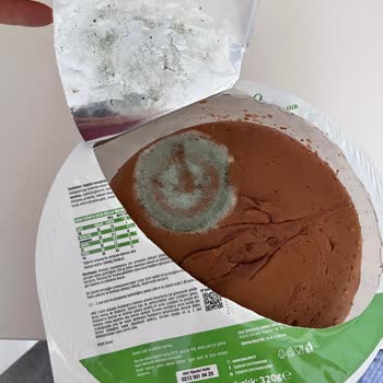 UNO Ekmek Migros Hemen'den Gelen Küflü Pasta Tabanı Hayal Kırıklığı