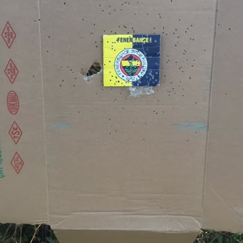 Beretta A300 Stoeger İlgisizliği