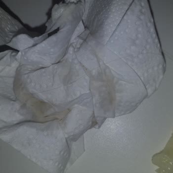 Levent Börek Kıl Çıktı