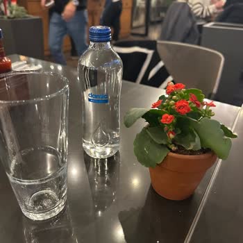 Big Chefs Vadi İstanbul Hijyenik Olmaması Ve Servisin Kötülüğü