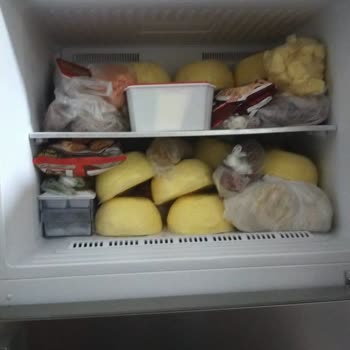 Beko Refrigerator Freezer Has No Lighting