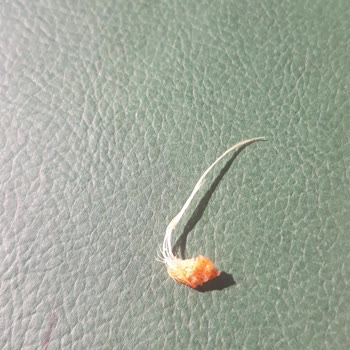 Şok Market Amigo Patates Cips Şikayet