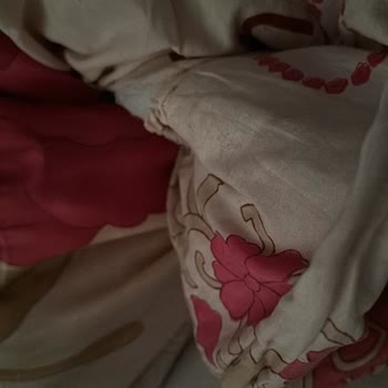 Boray Tour Hayal Kırıklığı Yaratan Batum Turu