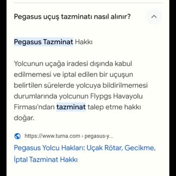 Pegasus Sefer İptali Ve Israrla Verilmeyen Tazminat Hakkı