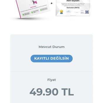 Toptalent.co Sizi Aldatabilir.