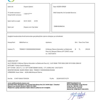 IQ Money Para Hesaba Geçmedi