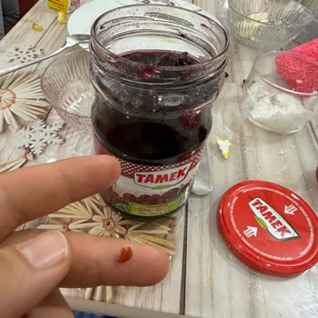 Tamek Vişne Reçelinden Çekirdek Kırıkları Çıkması