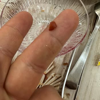 Tamek Vişne Reçelinden Çekirdek Kırıkları Çıkması