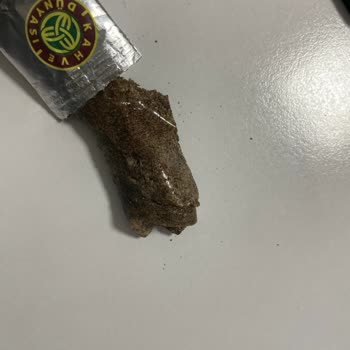 Kahve Dünyası Kahve Yerine Ne İçiyoruz?