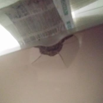 Bellona Hasarlı Ürün Ve İlgisiz Montaj Hizmeti