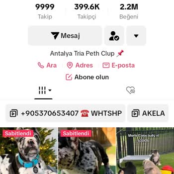 TikTok'ta Hayal Kırıklığına Uğradım