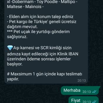 TikTok'ta Hayal Kırıklığına Uğradım