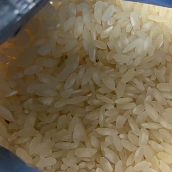 Migros Baldo Pirinç İçinde Kurtlar Var