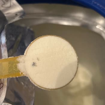 Milupa Aptamil 2 Numara Böcek Çıkması