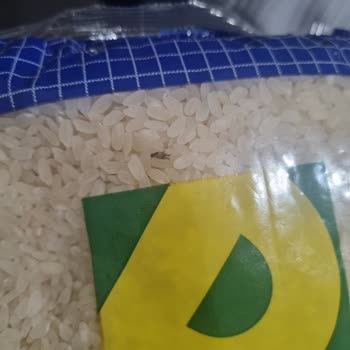 Pehlivanoğlu (Muharrem) Ambalajlı Pirinçte Sinek Bulma Şikayeti