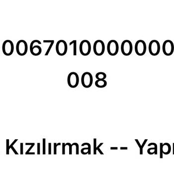 Vanilin Design Hizmette Yaşanan Sorunlar Ve Erişim Sıkıntısı