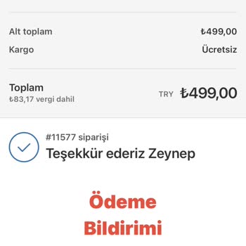 Vanilin Design Hizmette Yaşanan Sorunlar Ve Erişim Sıkıntısı