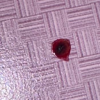 Petbox Hastalıklı Kedi Satışı