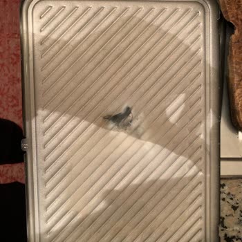 Arzum Firması Ürün Kalitesi Ve Mağduriyet Hk.