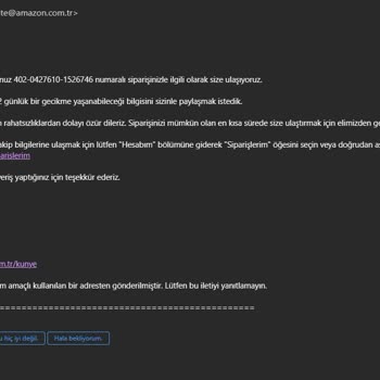 Amazon.com.tr Prime Üründe Geç Teslimat