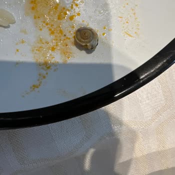 SuperFresh Bezelyeden Salyangoz Çıktı