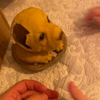 Madame Coco İade Yapmıyor! Kırım Ürün Gönderiyor