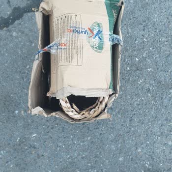 Wahshe Damacana Kılıfı İadesi Kabusa Dönüştü!