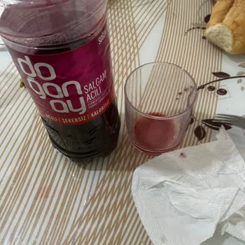 Doğanay Şalgam İçerisinde Sinek Var