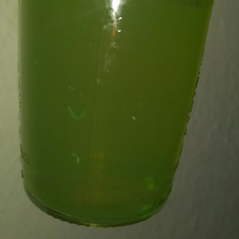 Schweppes İçerisinde Ne Olduğu Belli Olmaması