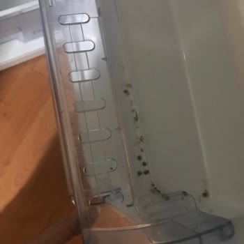 Arçelik İkame Buzdolabı Sorunu